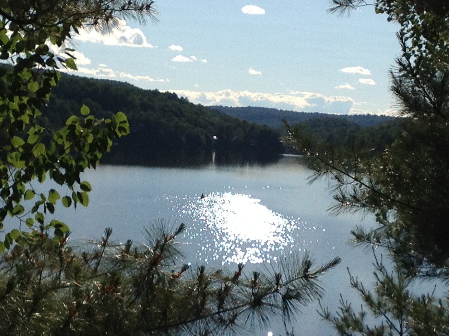 Chalet lac xavier la conception