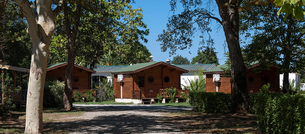 Chalet montagne corse
