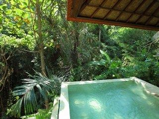 Cottage ubud
