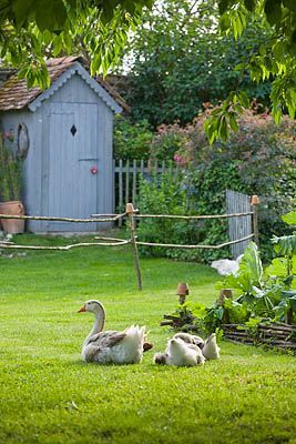 Cabane de jardin vintage
