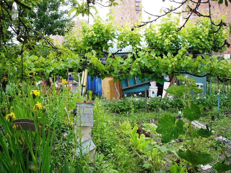 Cabane de jardin ouvrier
