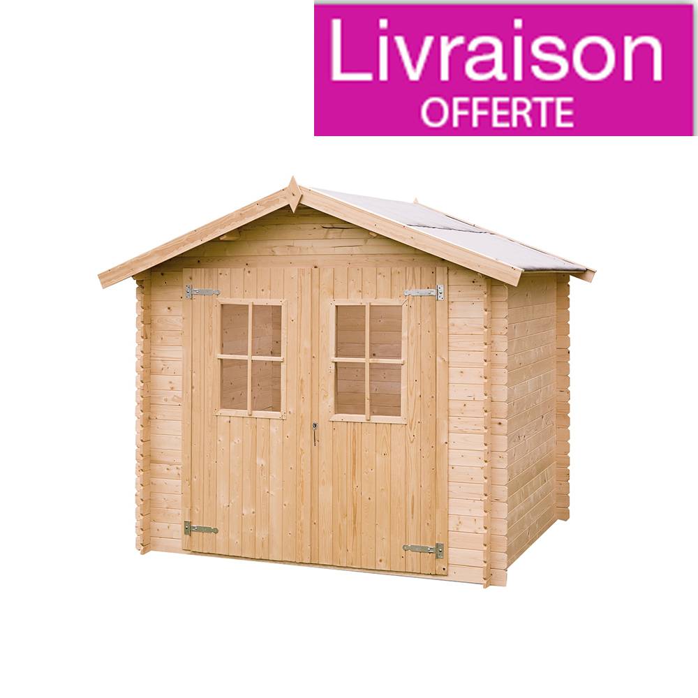 Abri de jardin pvc truffaut
