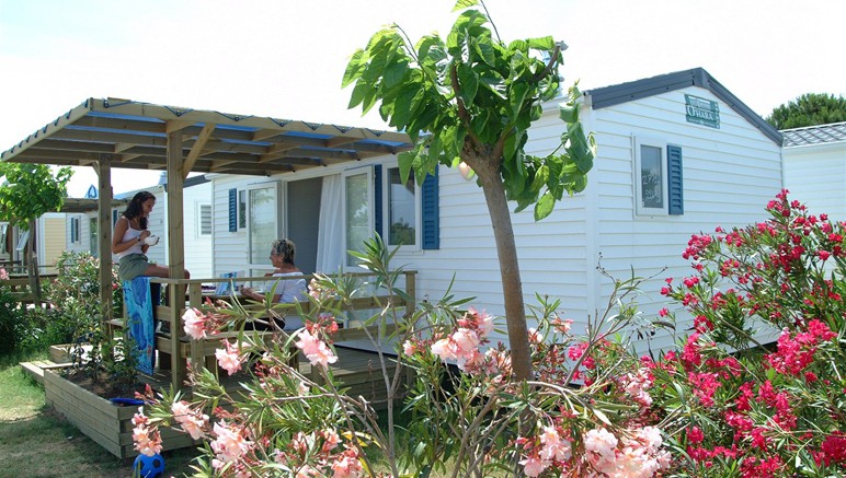 Cottage premium la dragonniere
