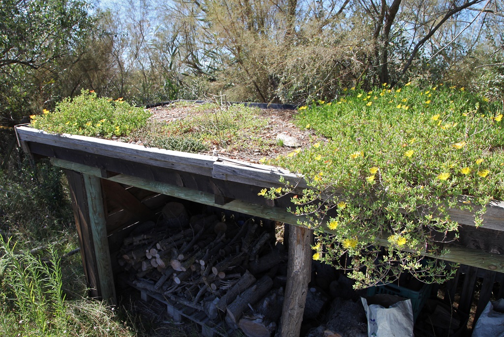 Cabane jardin toit vegetal

