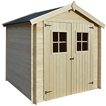 Abri de jardin bois amazon
