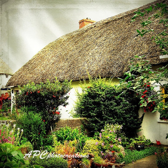 Cottage garden