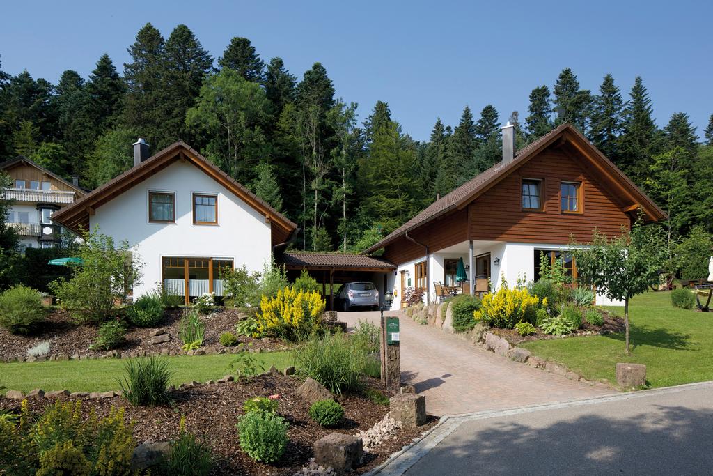 Chalet montagne foret noire
