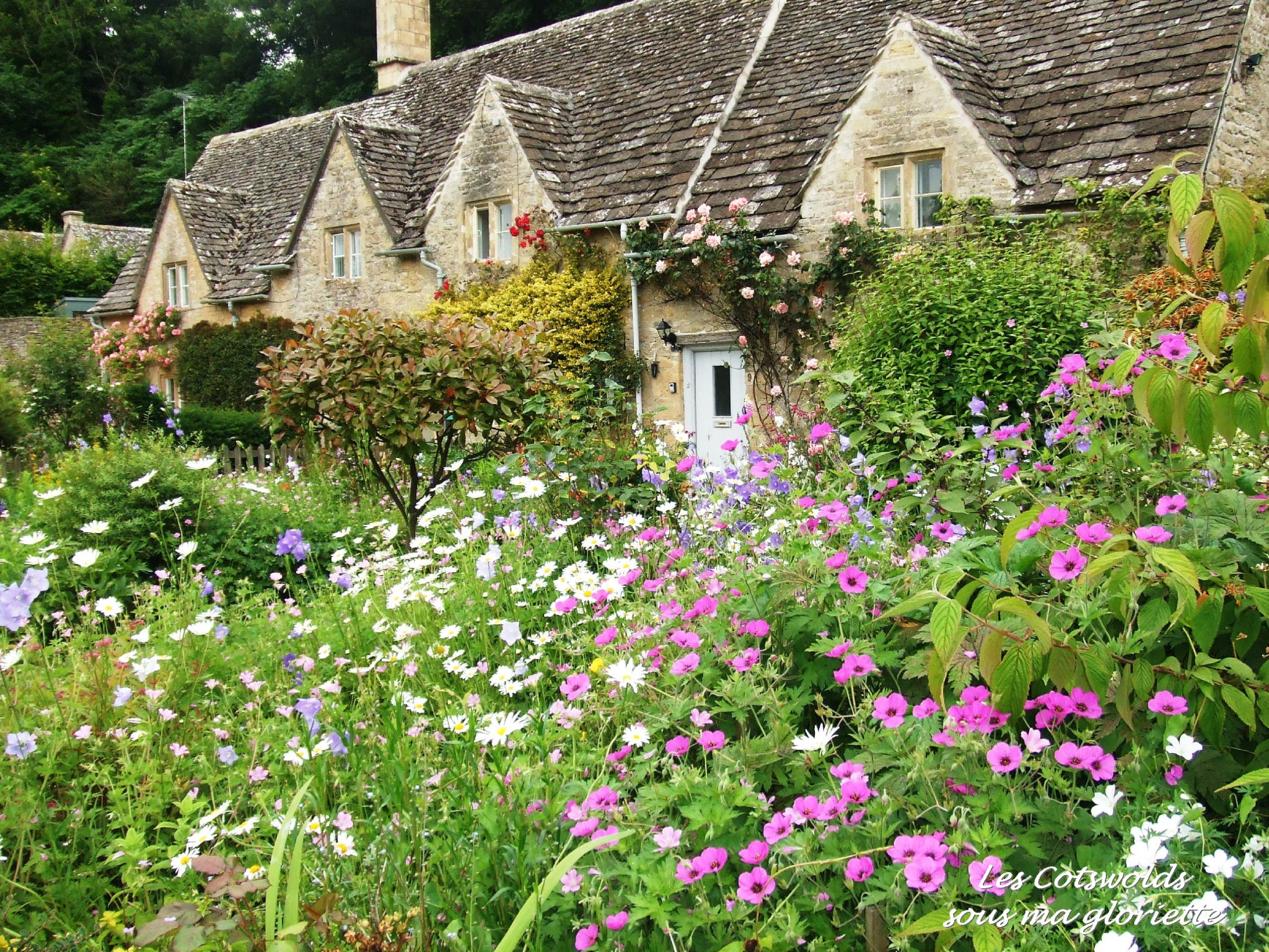 Cottage anglais jardin

