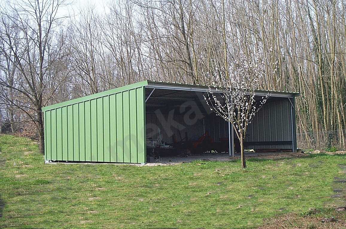 Abri jardin metal occasion
