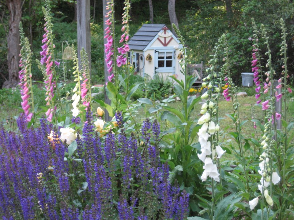 Cottage whimsy
