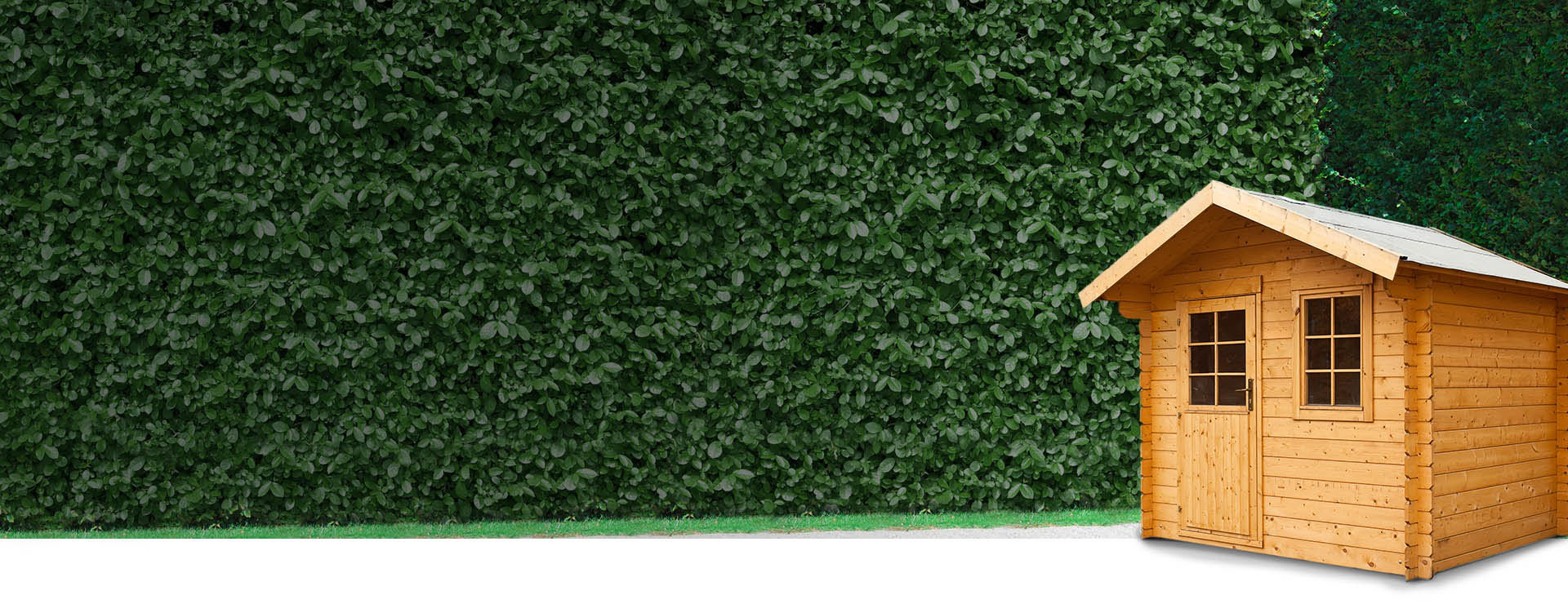 Abri de jardin en bois jardiland
