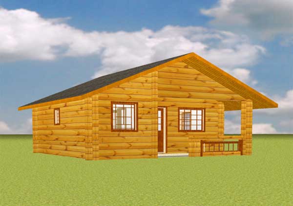 Chalet bois traditionnel
