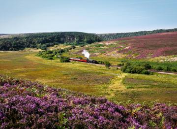 Cottage yorkshire moors
