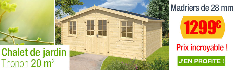 Abri de jardin bois promo
