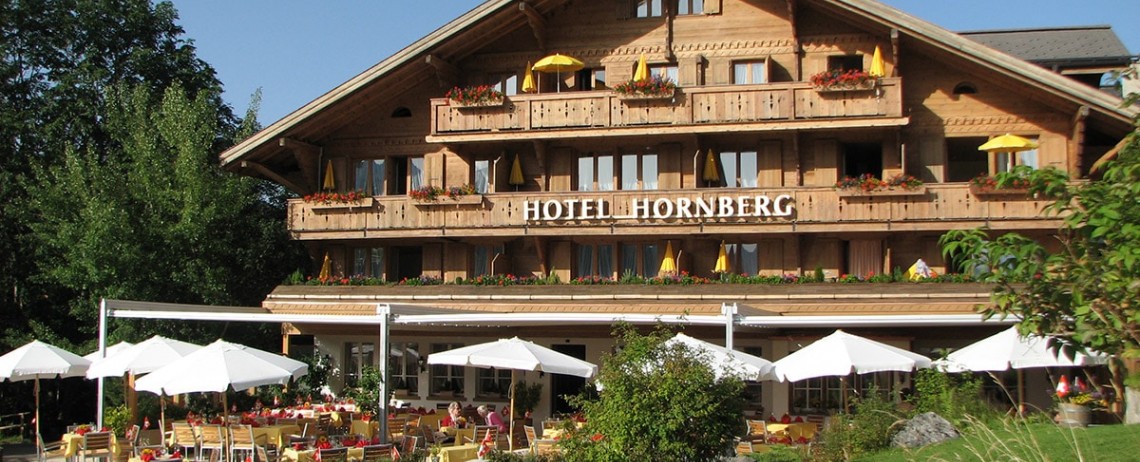 Chalet hotel
