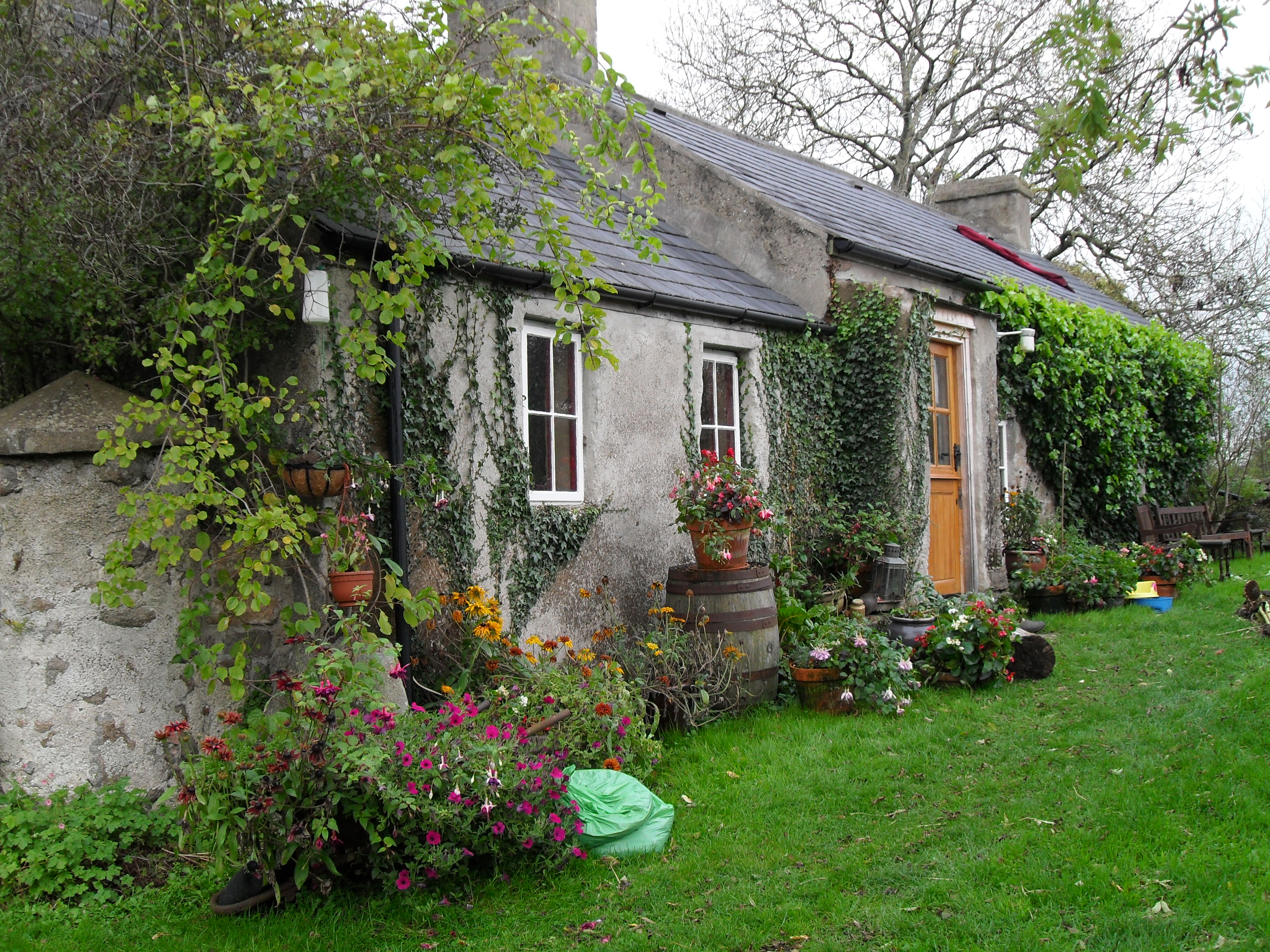 Cottage oree verte bois guillaume
