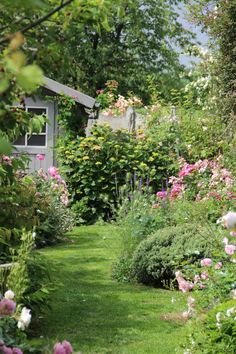 Cottage anglais belgique

