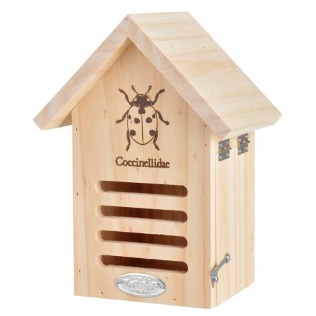 Abri jardin coccinelle pas cher

