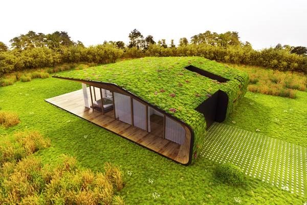 Cabane de jardin toit
