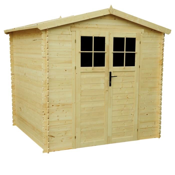 Abri de jardin 2 x 3
