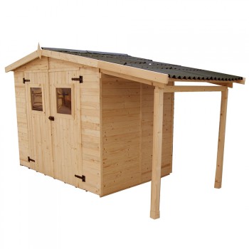 Abri de jardin avec bucher
