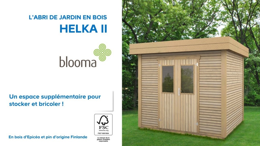 Abris de jardin pas cher en bois castorama
