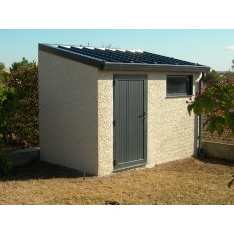 Abri jardin bois monopente
