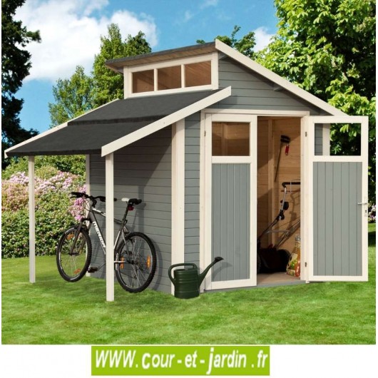 Cabane de jardin avec abris bois
