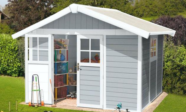 Abri jardin resine castorama
