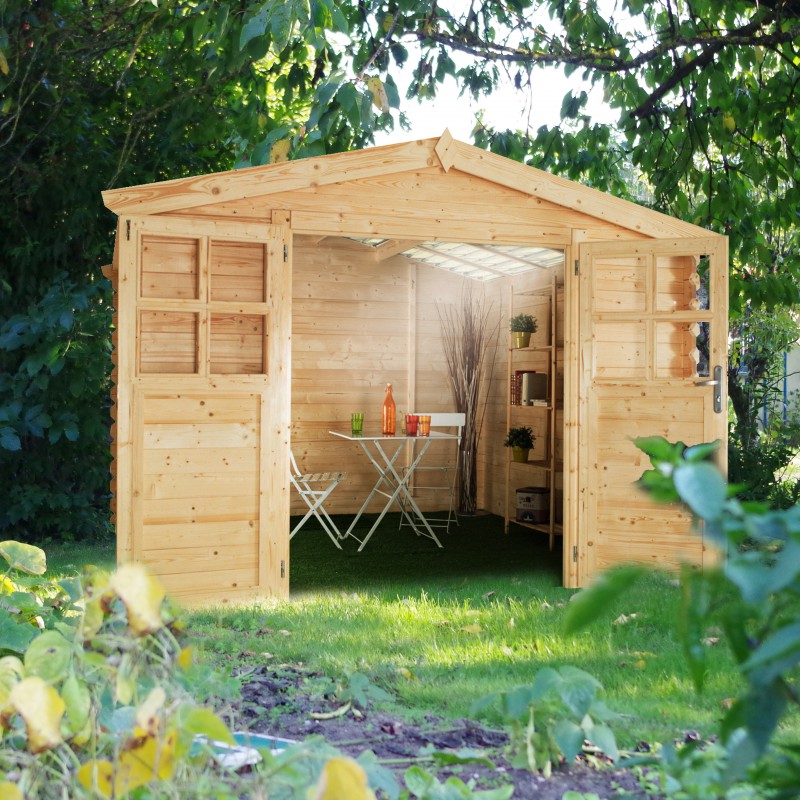 Abri de jardin 3x4
