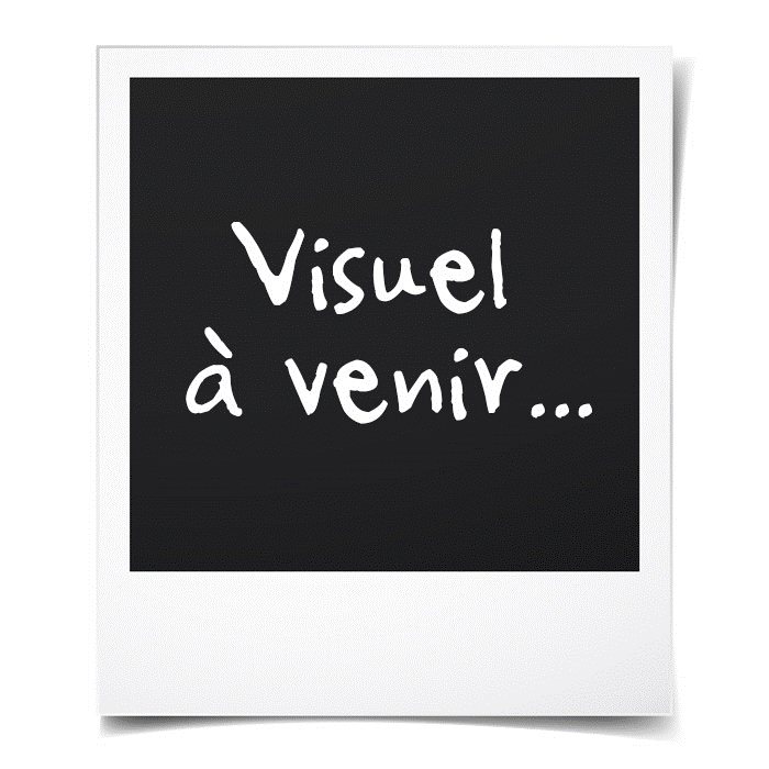 Abri de jardin weldom
