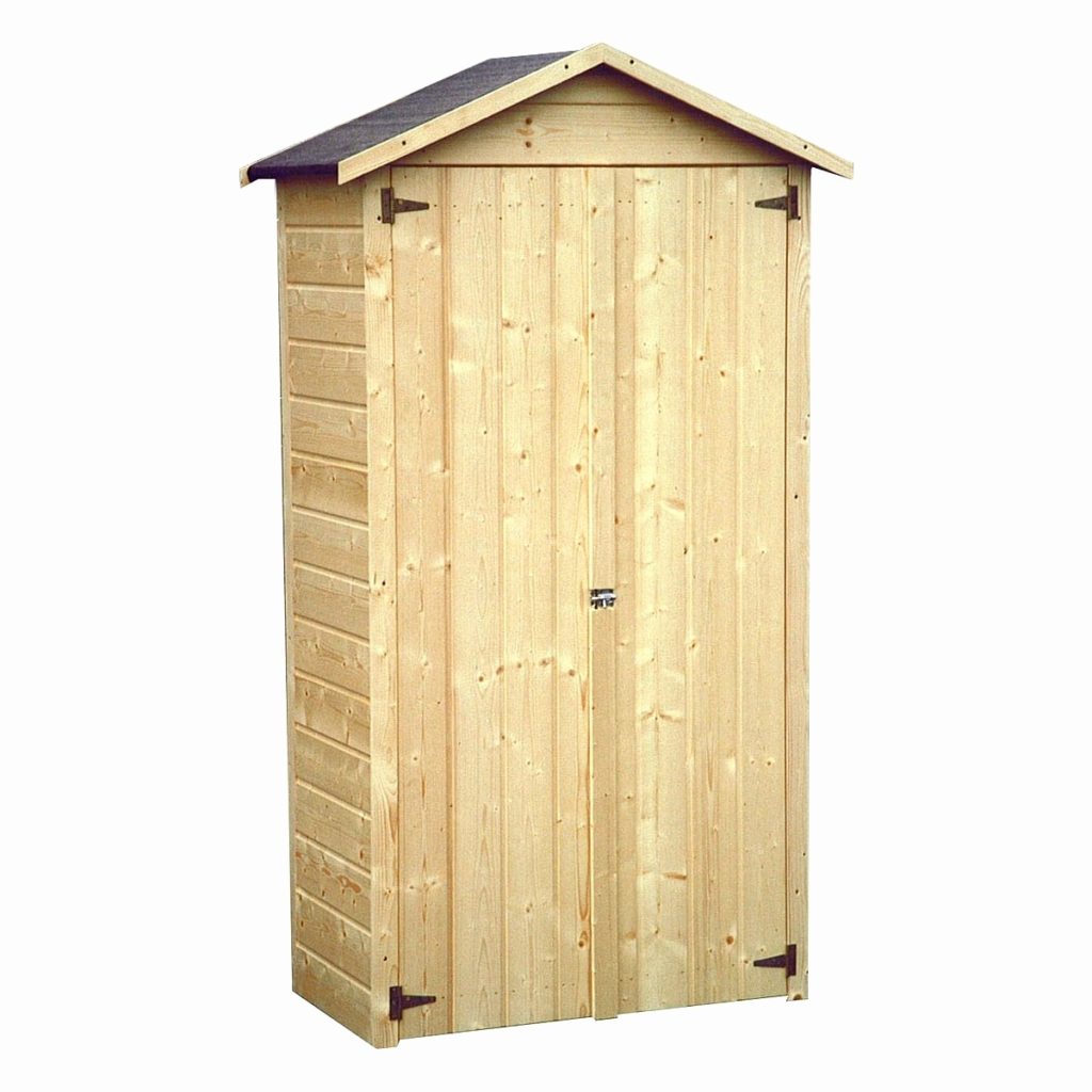 Petite cabane de jardin en bois
