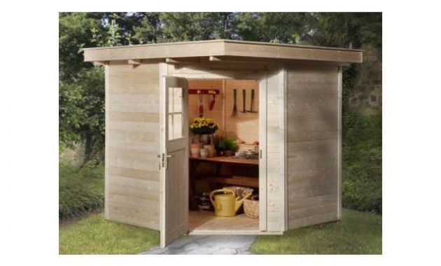 Abri jardin resine amazon
