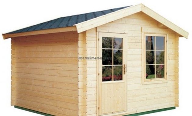 Abri jardin keter millenium 86
