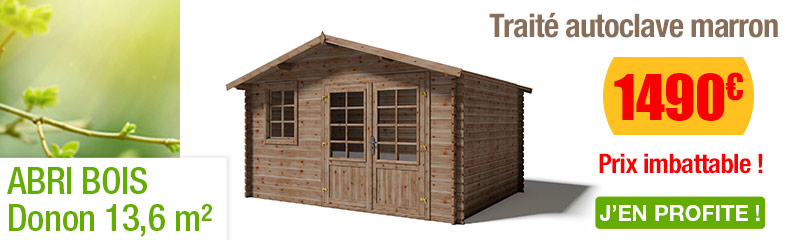 Abri jardin bois traité autoclave
