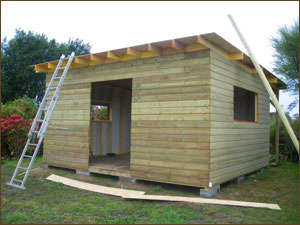 Cabanon jardin bois
