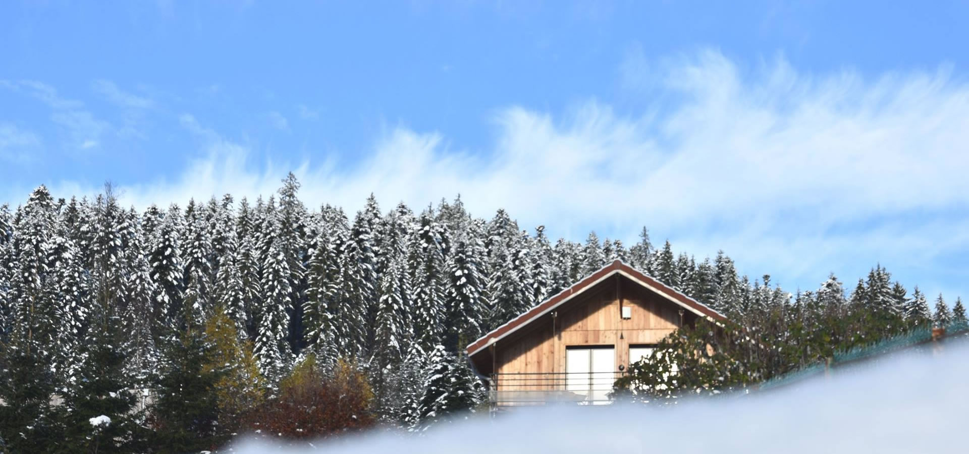 Chalet quiet place gerardmer