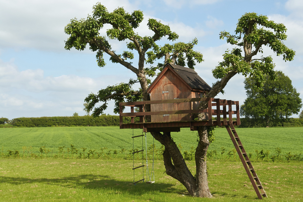 Cabane de jardin dans les arbres

