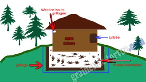 Cabane de jardin oui oui
