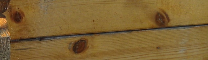 Abris de jardin qui travaille
