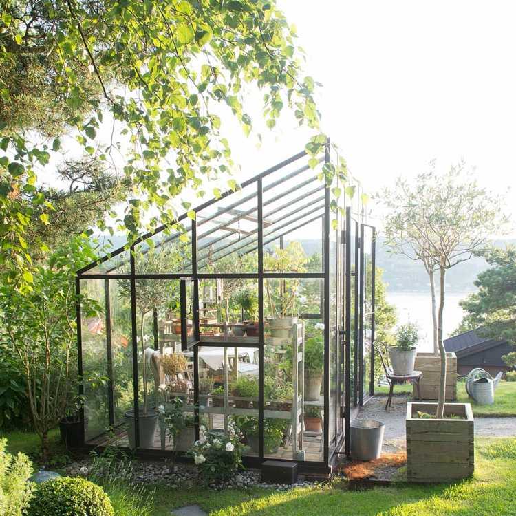 Tle et abri de jardin
