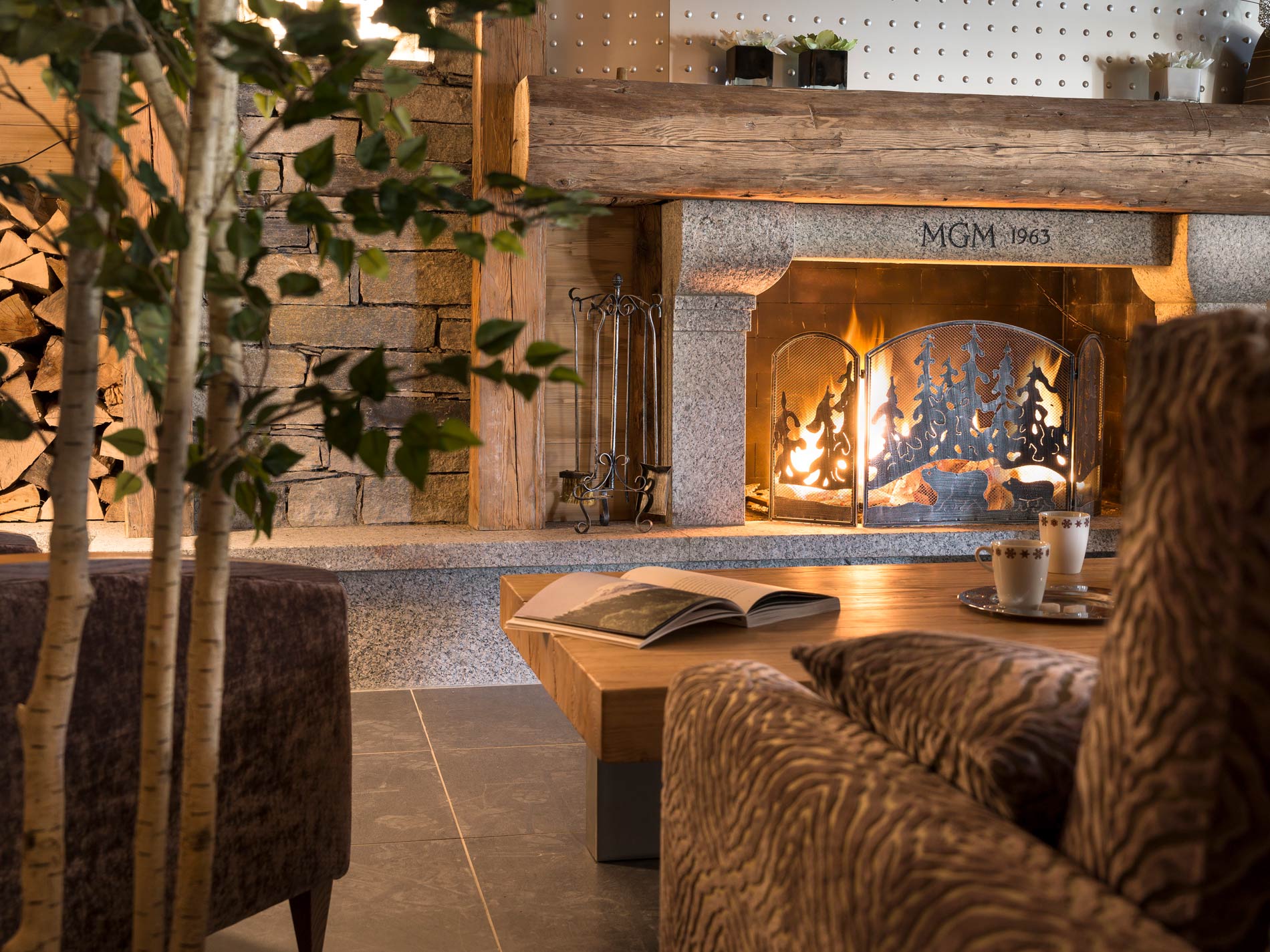 Chalet montagne sud
