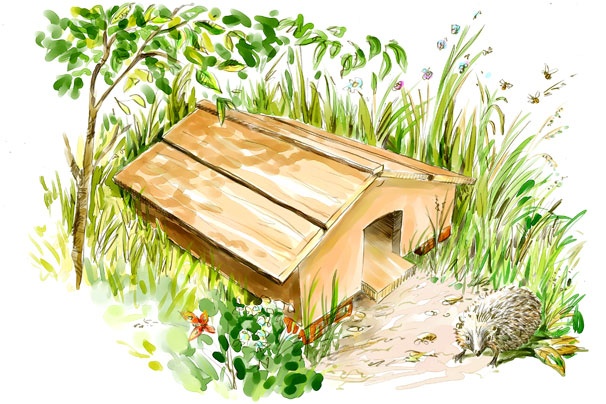 Cabane hérisson jardin
