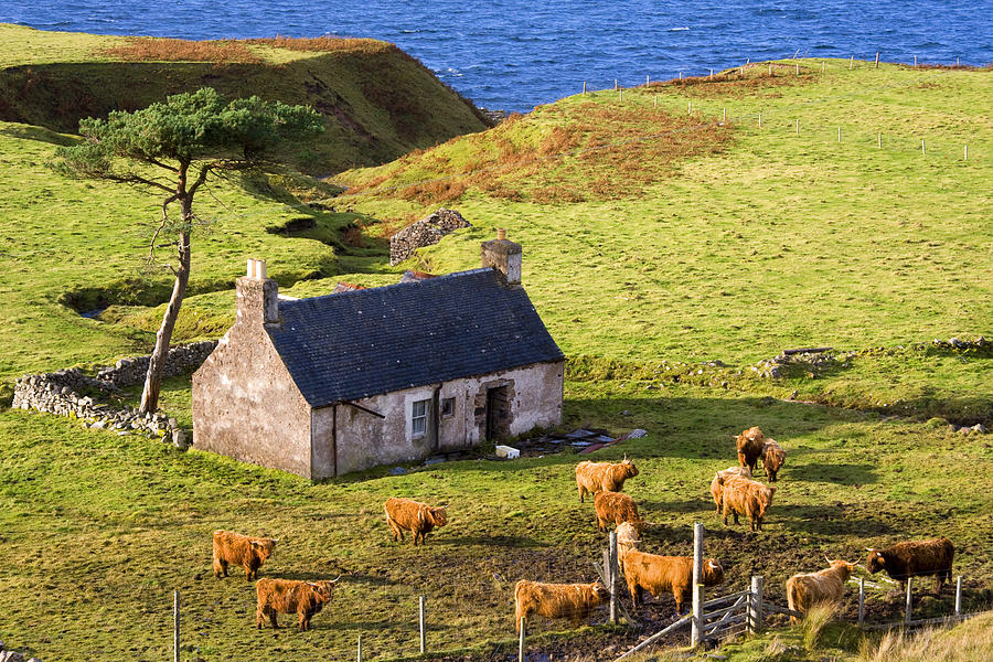 Cottage highlands