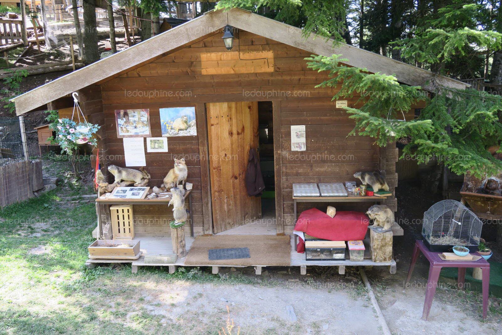 Cottage dans parc animalier
