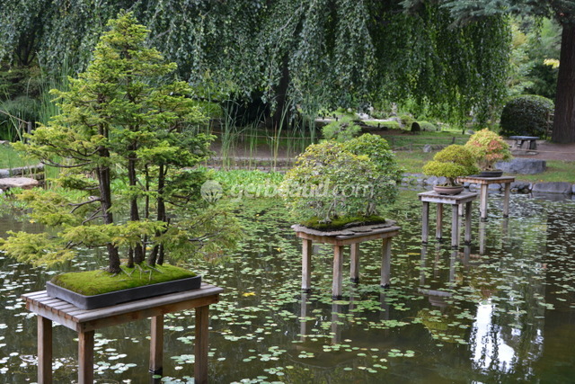 Chalet de jardin style japonais