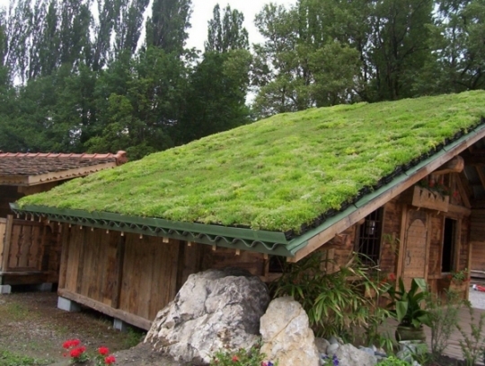 Cabane jardin toit vegetal
