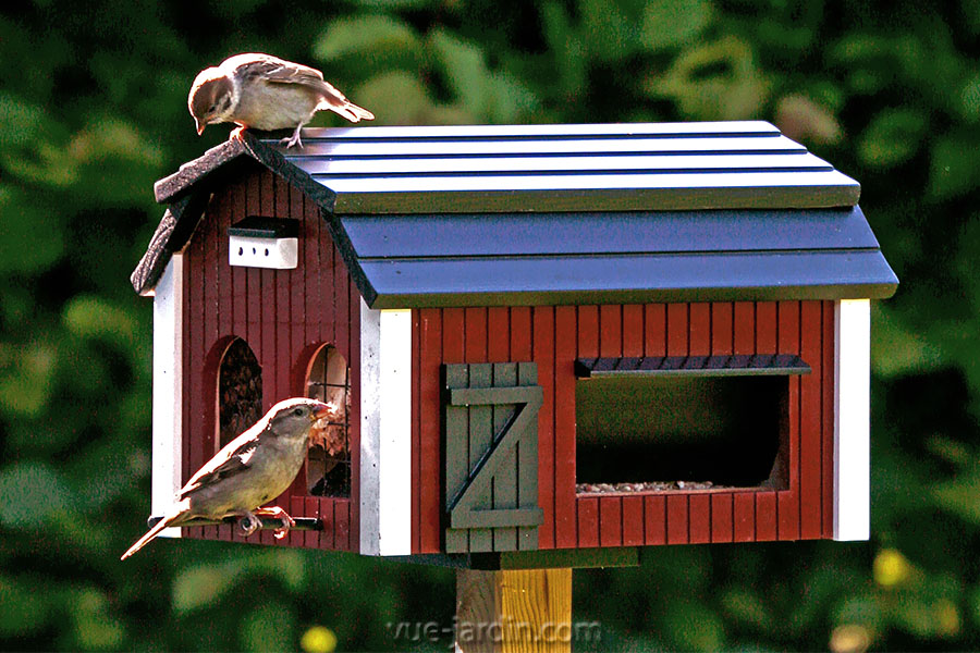 Cabane oiseaux jardin
