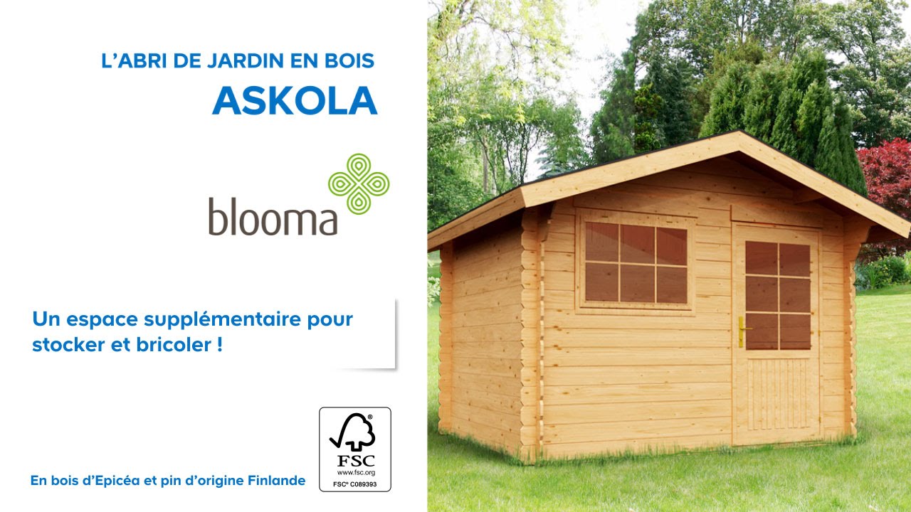 Abri de jardin ylistaro
