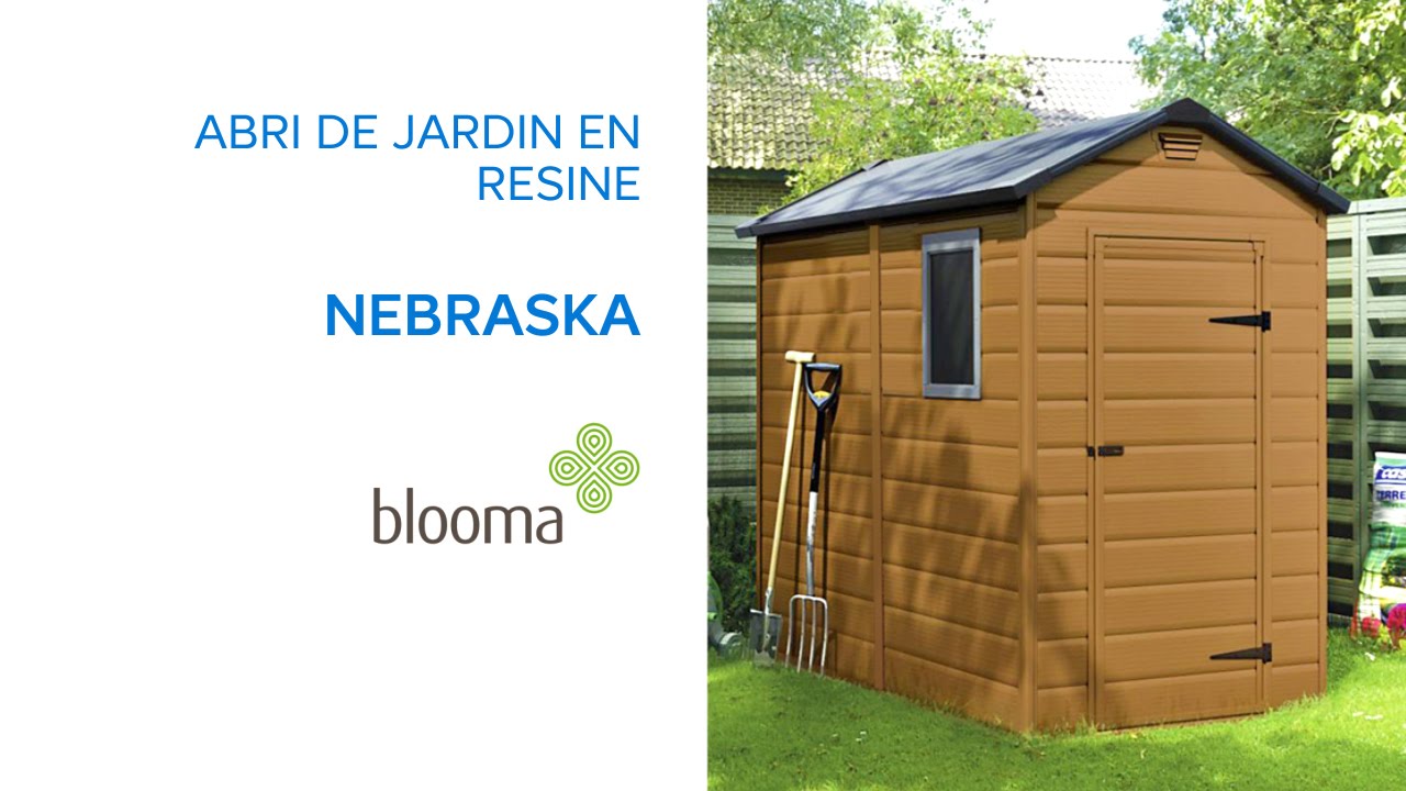 Abris de jardin castorama en resine

